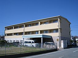 パストラルゆとり