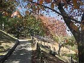 Ange神戸  ｜ 兵庫県神戸市長田区長田天神町１丁目（賃貸アパート1R・2階・18.95㎡） その22