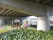 天井川公園（505m）