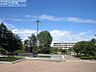 周辺：国立新潟大学 1650m