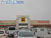 ドラッグ・トップス新津店 525m