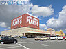 周辺：スーパーセンターPLANT－5横越店 1388m