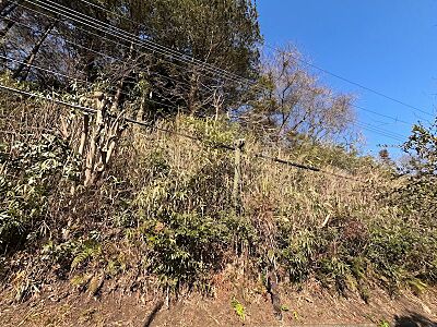 外観：【現地写真】現地の写真です