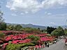 周辺：小室山公園（3447m）