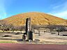 周辺：大室山麓 さくらの里（3840m）