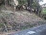 その他：【参考?】伐採した時の状態です