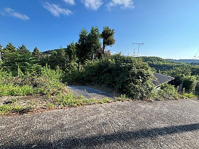 外観:【現地写真】緑に囲まれた立地です 外観:【現地写真】緑に囲まれた立地です