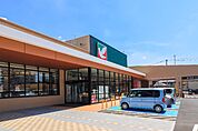 ヨークベニマルミライト一条店 1038m