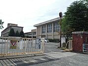 鍋島中学校 300m