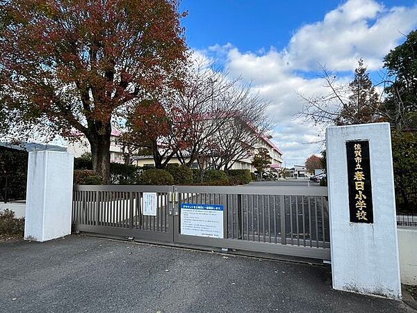 周辺を拡大表示