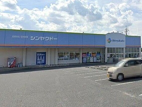 シンヤクドー旗...