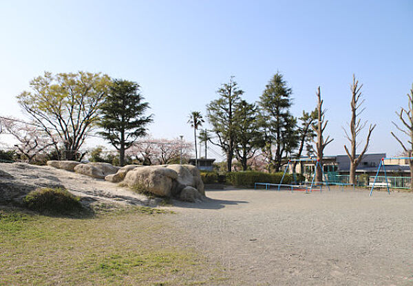 画像26:【公園】鷹取公園まで889ｍ