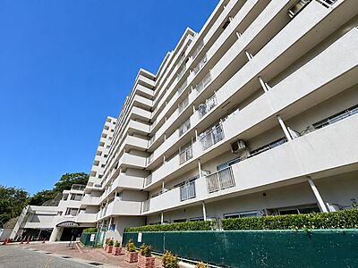 外観 外観