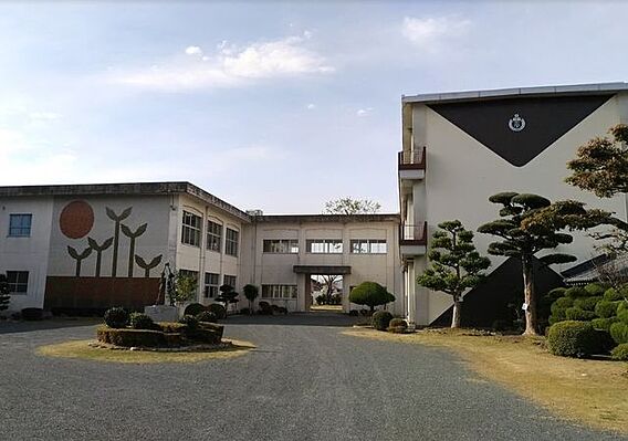 新城小学校 4...