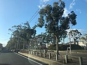 牛川遊歩公園 660m