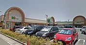 ドミー小坂井店 2000m