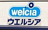 周辺：ウエルシア　豊橋牟呂店 1020m