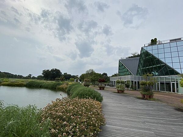 周辺を拡大表示