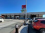 サンシャインカルディア店 1000m
