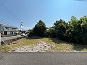 写っているのはほんの一部です。