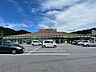 周辺：サンプラザ新鮮館　緑ヶ丘 500m