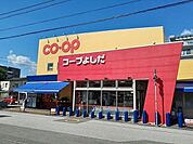 コープよしだ 1300m