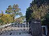 周辺：いの町立枝川小学校 1300m