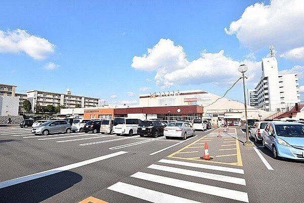 周辺を拡大表示