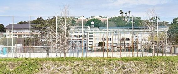 【鹿児島市立武...