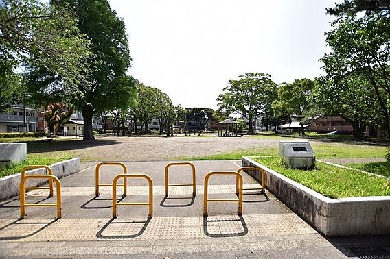 【中村公園】鹿...
