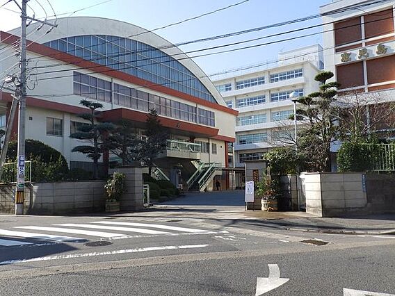【鹿児島高等学...