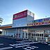 周辺：ダイレックス出雲店【営業時間】09:00〜22:00医薬品や日用品、小型の家電製品などの取り扱いもあるスーパーです。「たっぷり鶏ごぼう」と「キャベツザクザクメンチカツ」がおすすめ。 447m