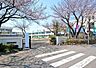 周辺：中原小学校 1100m