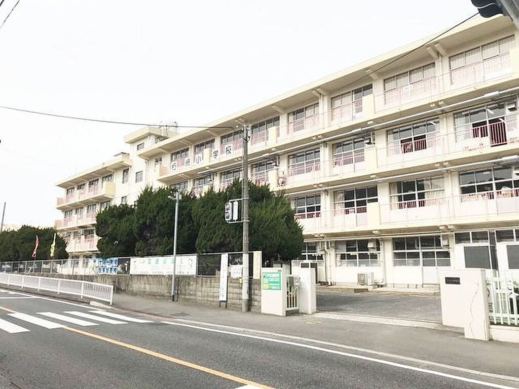 Image 7