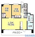 アジュール日吉町11階11.8万円