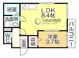 THE NOBLES 久留米西町 1階1LDKの間取り