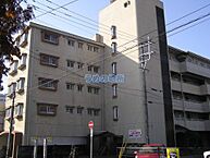 福岡県久留米市小頭町：物件画像／うめの地所株式会社　国分店