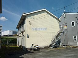 トラッドグリーン