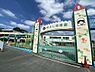 周辺：仲よし幼稚園 徒歩9分。 700m