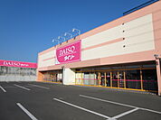 ダイソー 北見夕陽ケ丘店（865m）