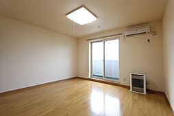 クールラピュタ 307