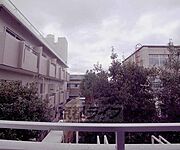 樹木が見えて落ち着きます。