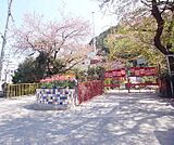 菊の花幼稚園まで690m