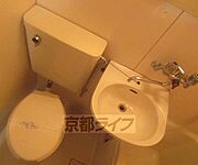 綺麗です