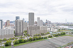 21階・角住戸からの開放的なパノラマビュー。スカイツリーや都心の景色が鮮やかに広がります。
