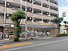 周辺：セブンイレブン練馬田柄5丁目店　徒歩4分