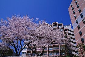 URグリーンヒルズ六甲  ｜ 兵庫県神戸市灘区六甲台町（賃貸マンション1LDK・8階・54.92㎡） その11