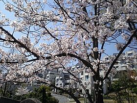 URグリーンヒルズ東山台  ｜ 兵庫県西宮市東山台1丁目（賃貸マンション3LDK・3階・91.17㎡） その14