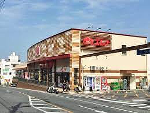 画像9:エレナ 上小島店（1369m）