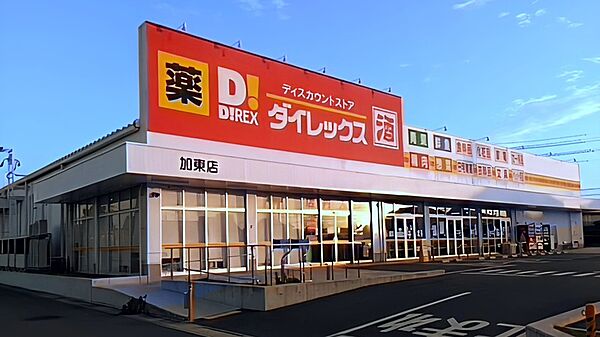画像11:【スーパー】ダイレックス加東店まで247ｍ